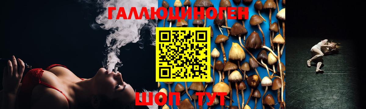 Псилоцибиновые грибы прущие грибы  Вход с VPN  магазин продажи наркотиков  Родники  Галлюциногенные грибы Psilocybe 